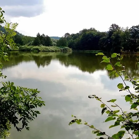 Mlyn Stare Mitrovice Gasthof 3*